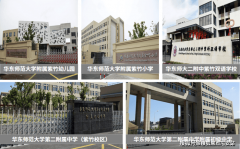 <b>需要穿越市场情感的短期</b>